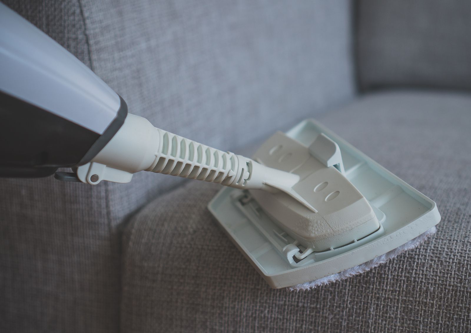 Nearby Upholstery Cleaning Services