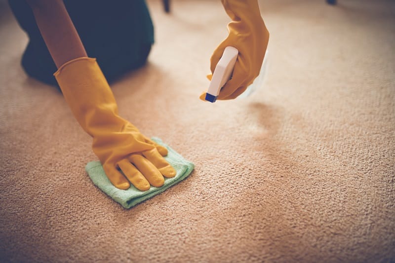 Simple Ideas For Carpet Stain Removal