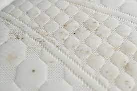 mattress Mould Removal